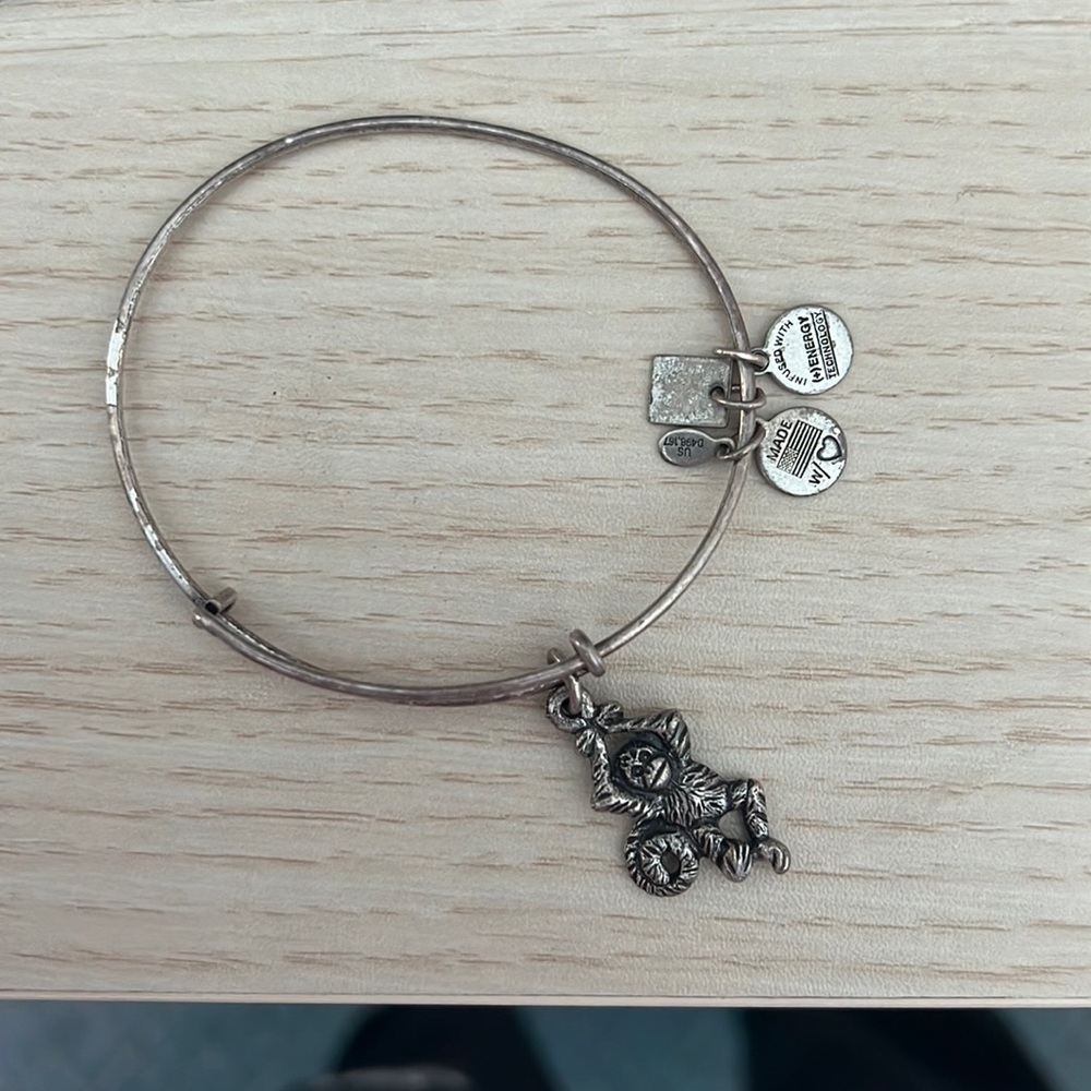 Alex and Ani monkey bracelet